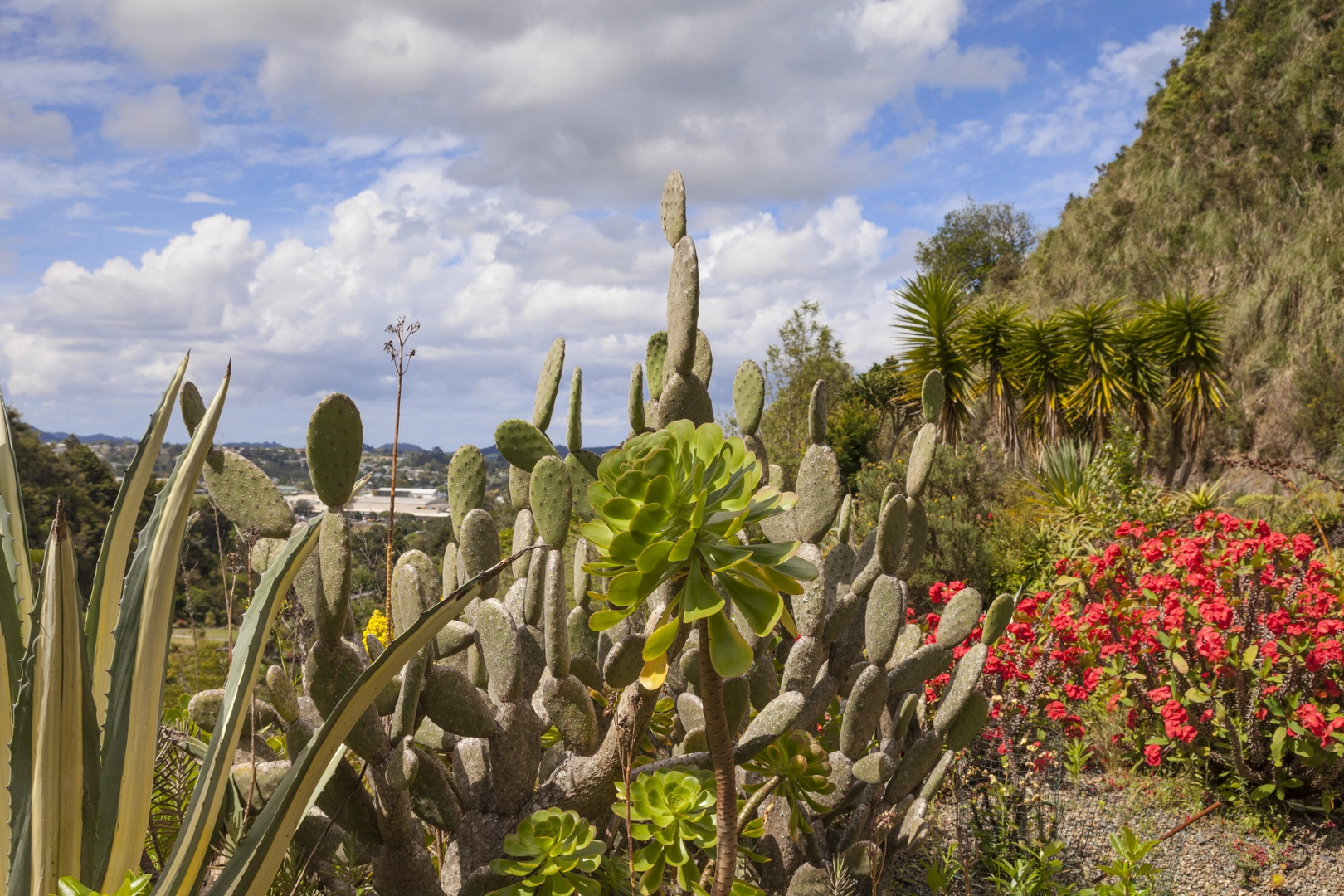 An image depicting the trail Quarry Gardens to Selwyn Ave via Pa Site and its surrounding area.