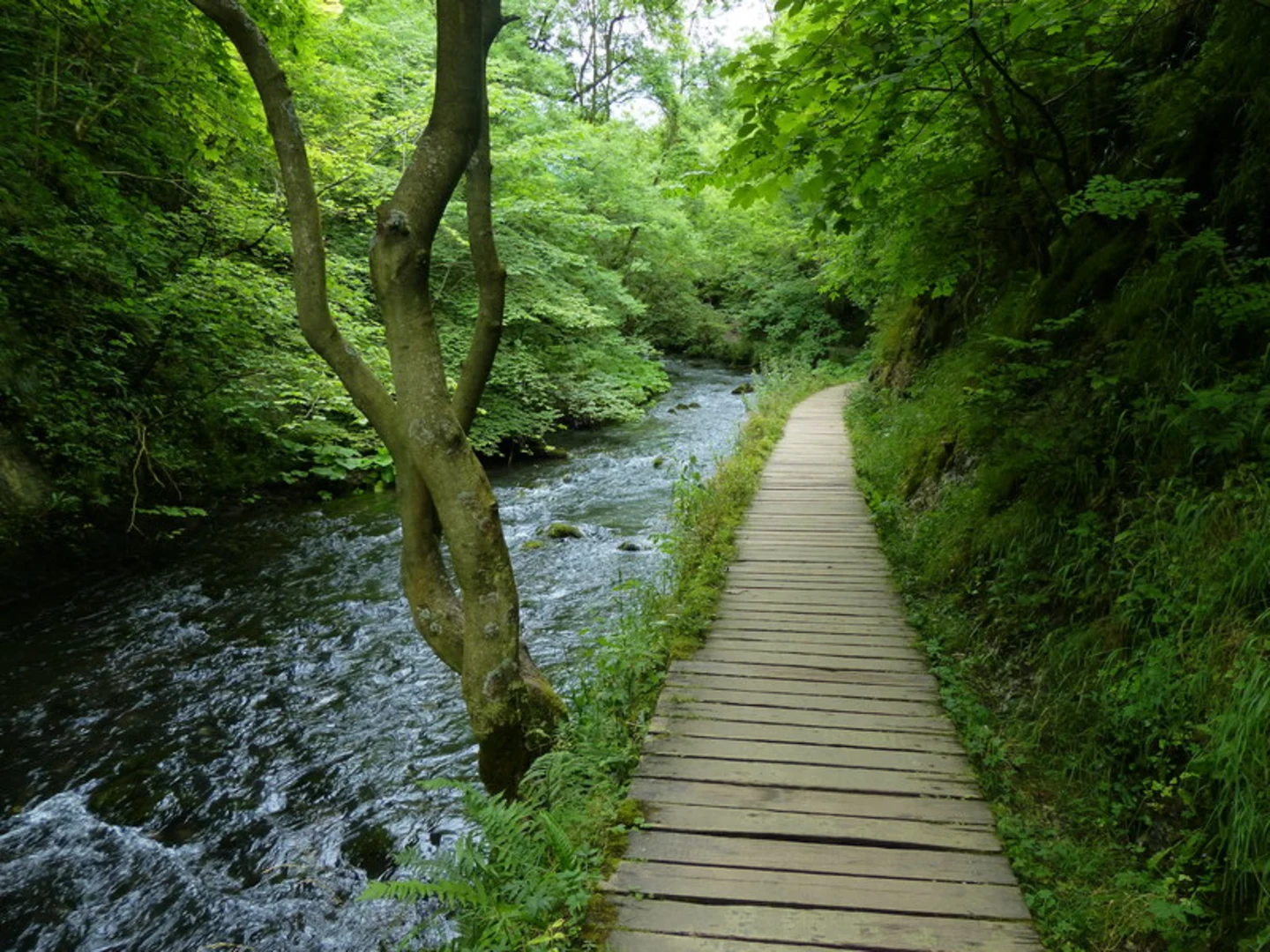 An image depicting the trail River Dove and Limestone Way and its surrounding area.