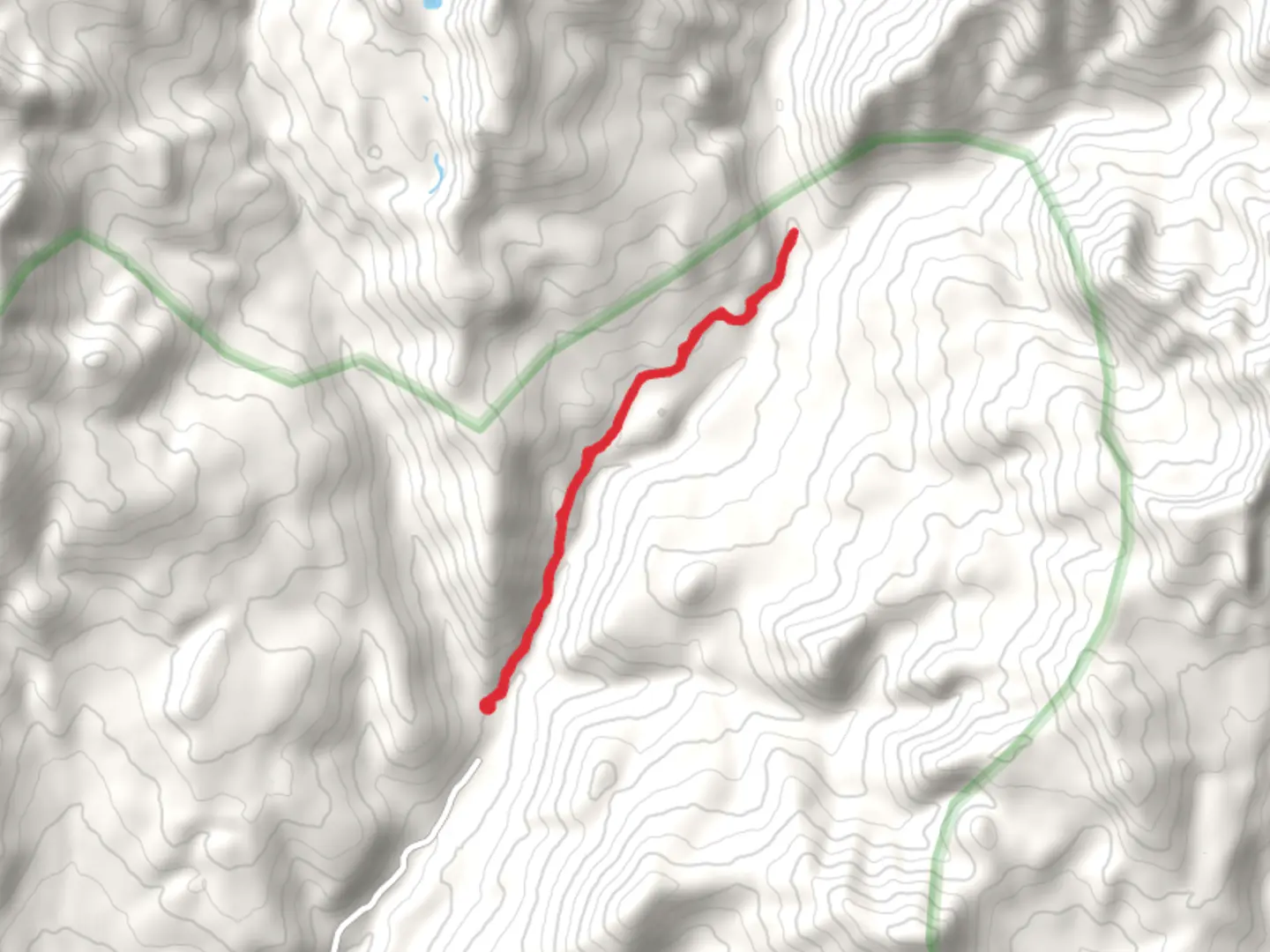 An image depicting the trail Main Bear Creek Trail and its surrounding area.