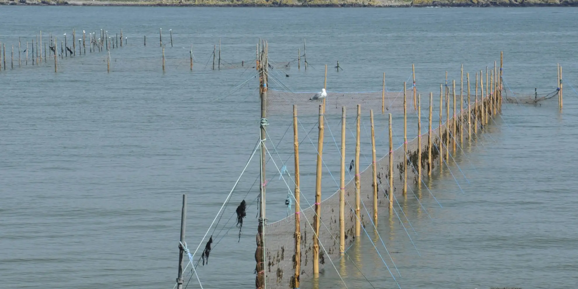 An image depicting the trail Balcary to Rascarrel Trail via Loch Mackie and its surrounding area.