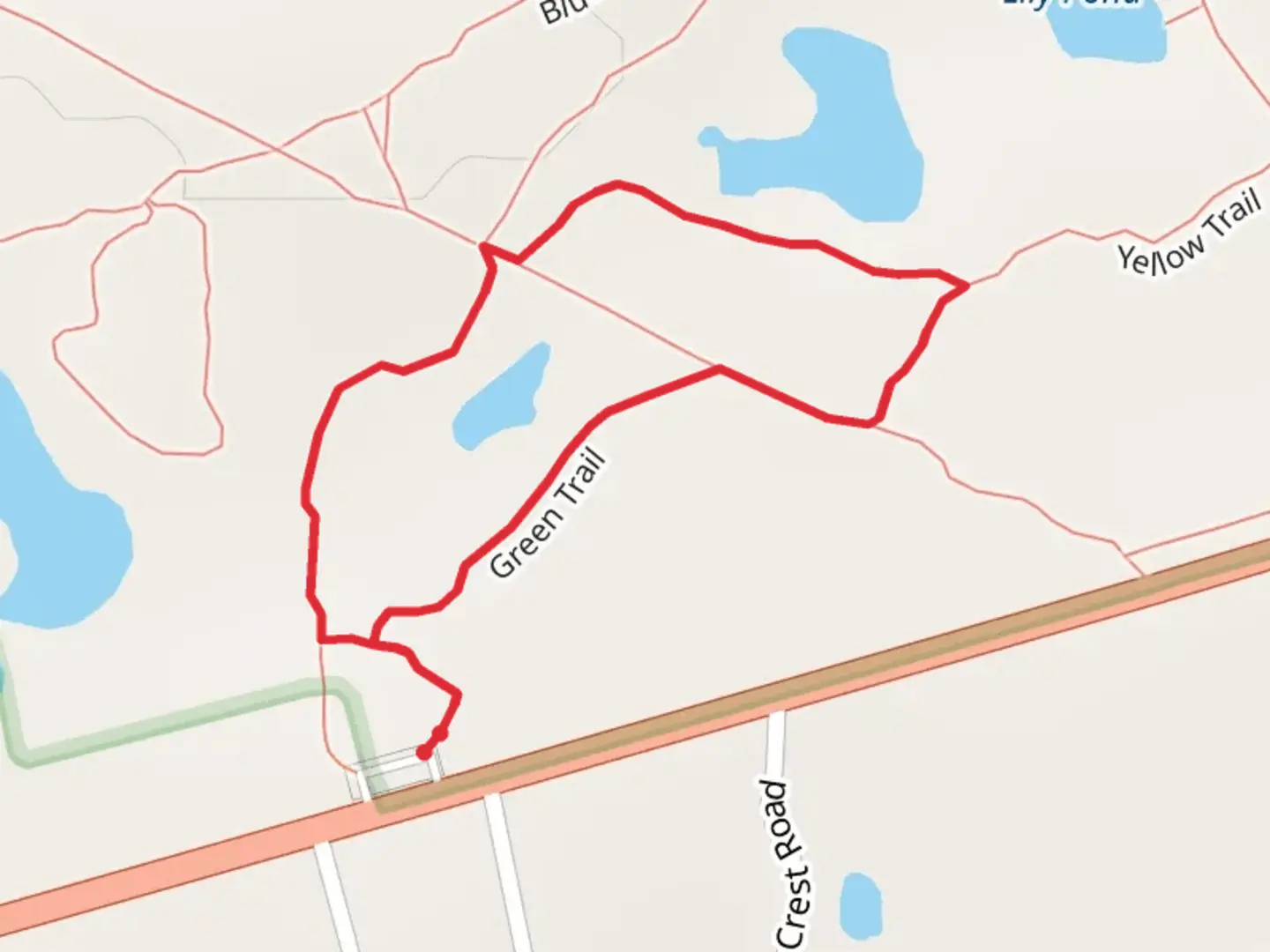An image depicting the trail Patsy Pond Green Loop Trail and its surrounding area.