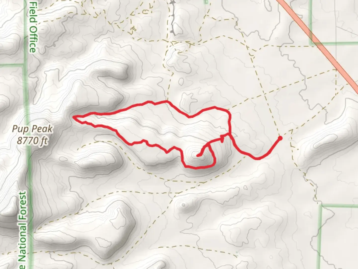 An image depicting the trail Pura vida and Limekiln Peak Loop and its surrounding area.