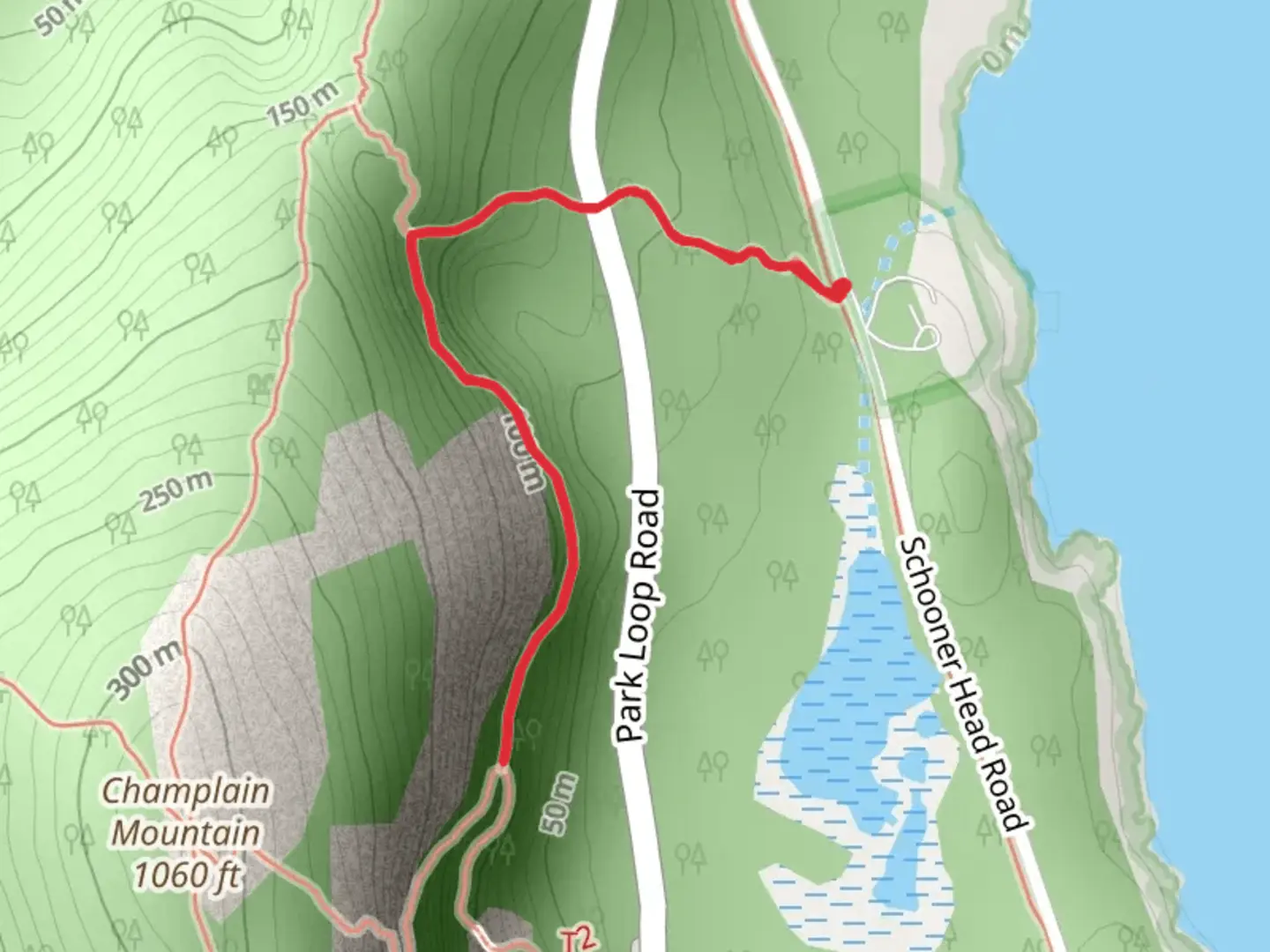 An image depicting the trail Orange and Black Path from Schooner Head Road and its surrounding area.