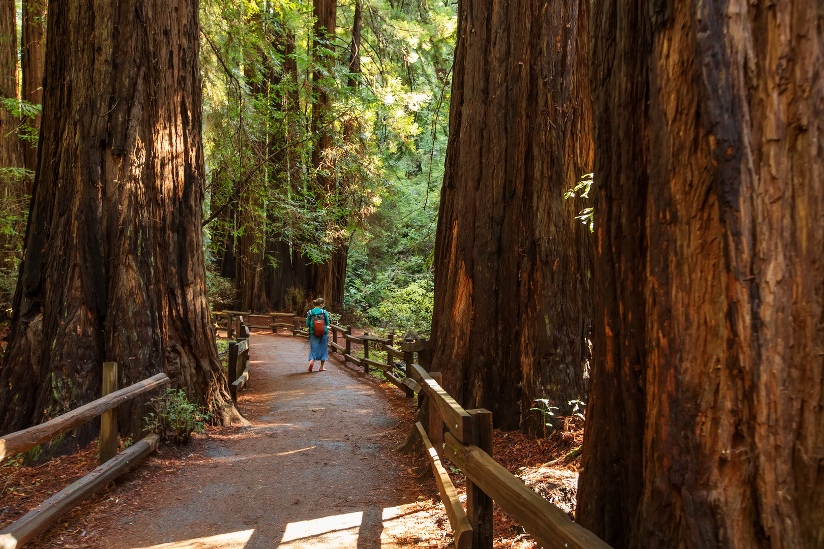 An image depicting the trail Fern Creek - Hillside - Ben Johnson - Dipsea Loop Trail and its surrounding area.