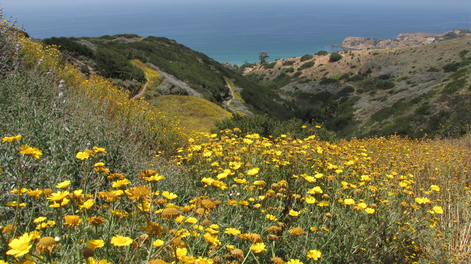 An image depicting the trail Eagle Nest Trail and Peacock Flats Loop Trail and its surrounding area.
