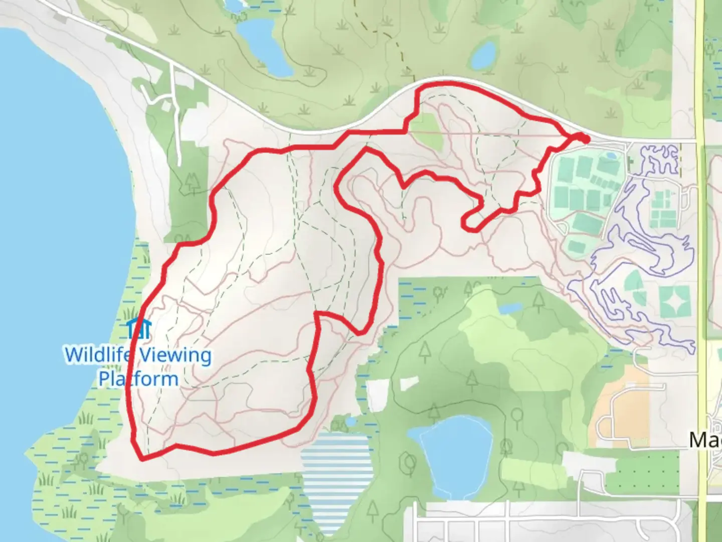 An image depicting the trail Lake Jackson East Loop and its surrounding area.