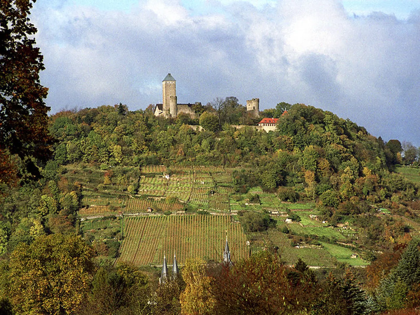 An image depicting the trail Traben, Trarbach to Reil via Mosel Camino and its surrounding area.