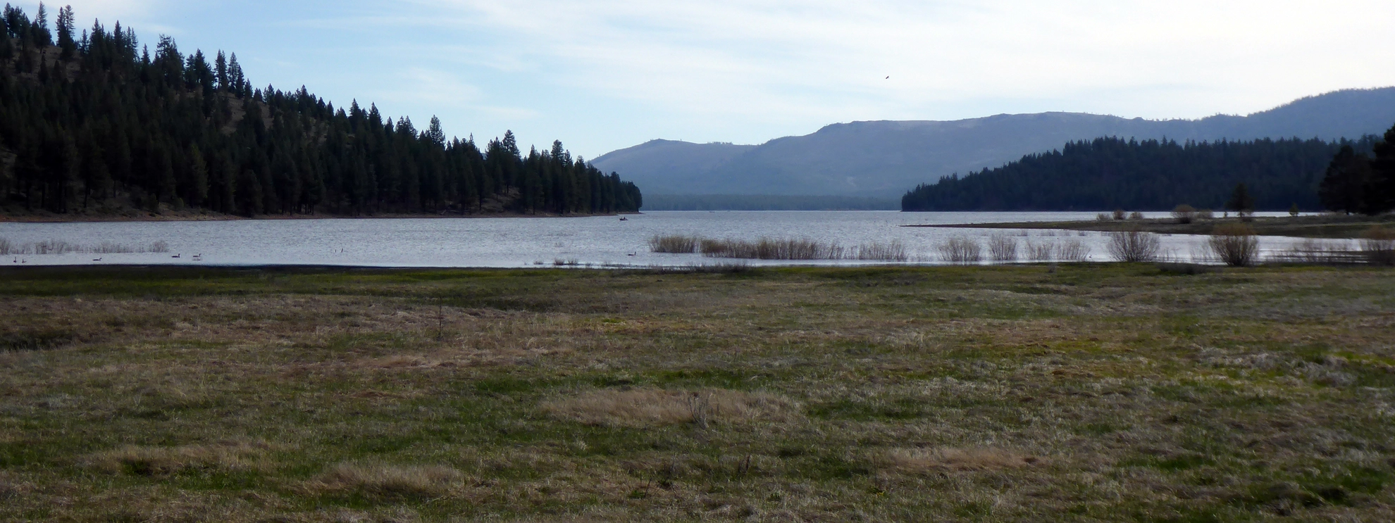 An image depicting the trail Dog Valley Road to Henness Pass Road and its surrounding area.
