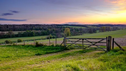 An image depicting the trail Chiltern Way and its surrounding area.