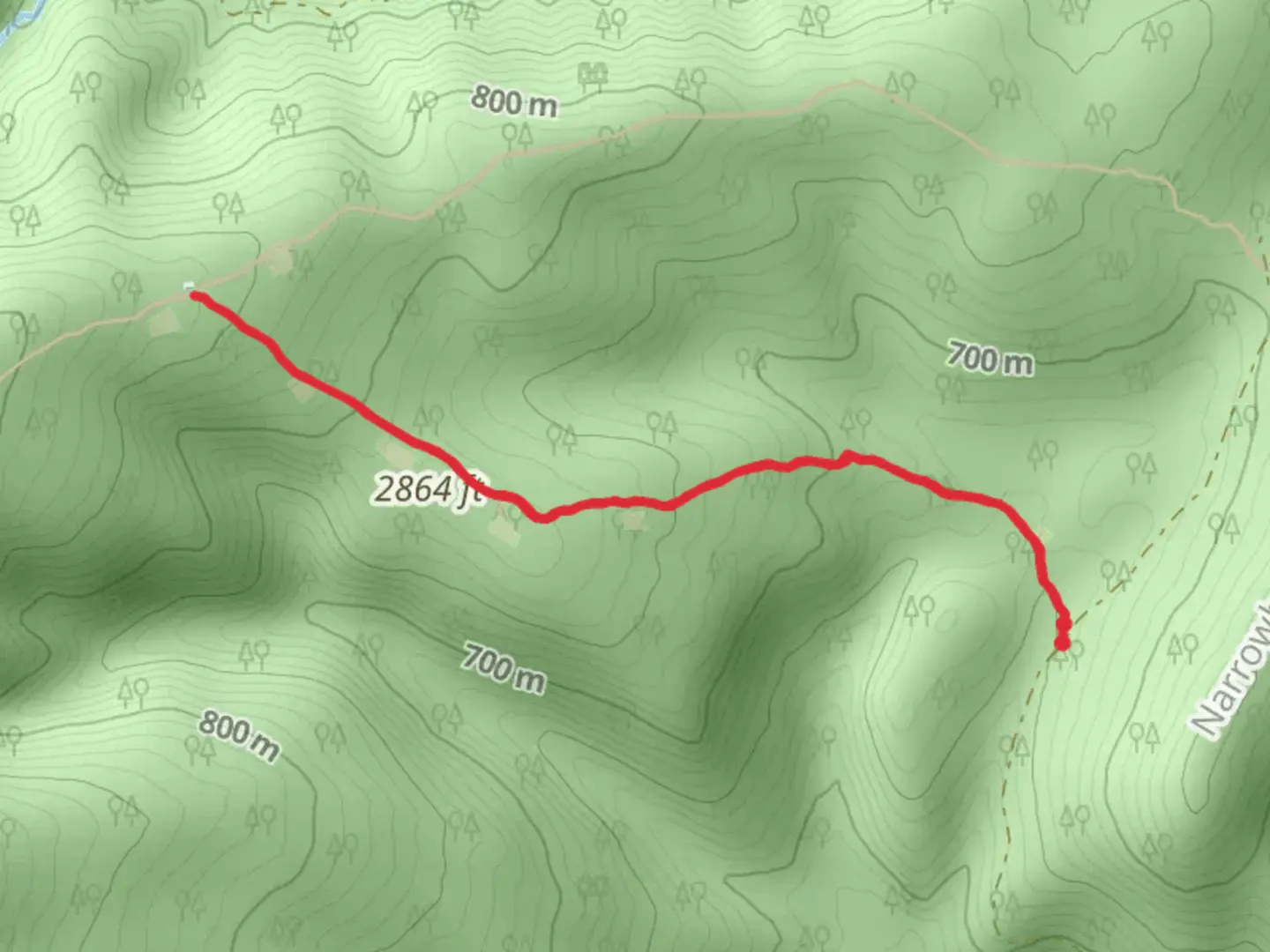 An image depicting the trail Mud Pond Gap Trail and its surrounding area.