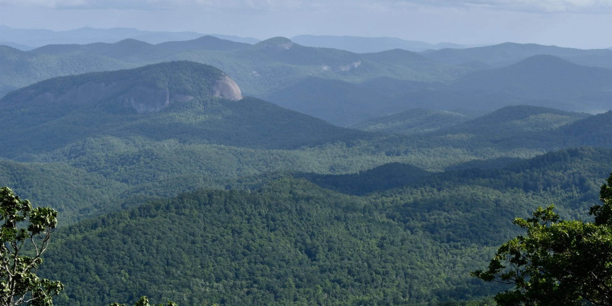 An image depicting the trail Pink Beds Loop Trail and its surrounding area.