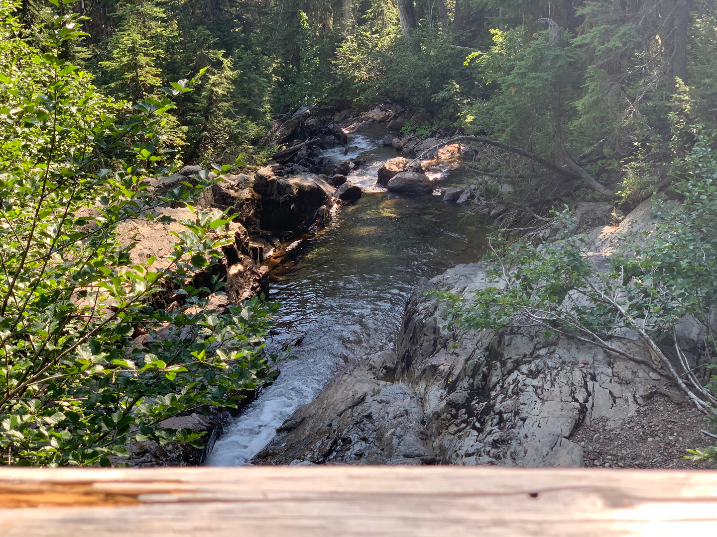 An image depicting the trail Goat Rocks Circuit and its surrounding area.
