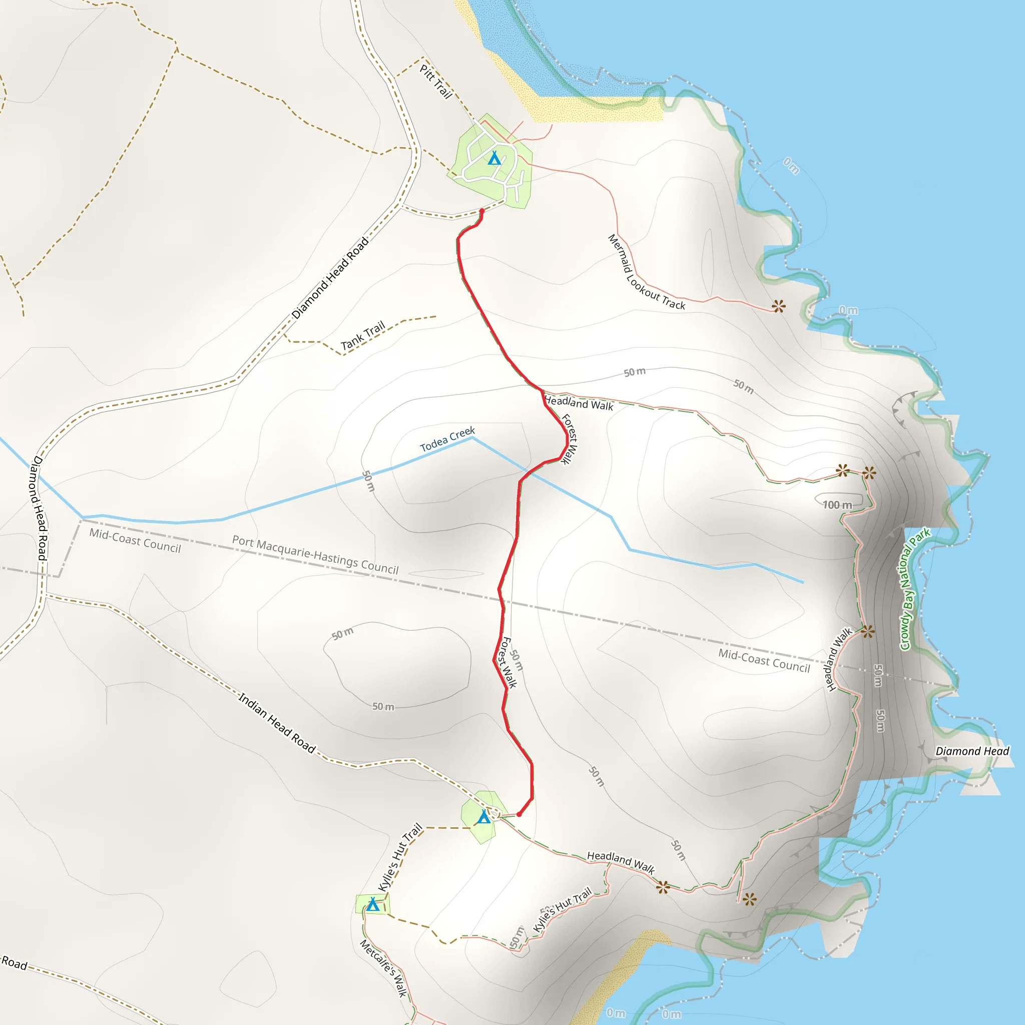 Forest Track mobile static map
