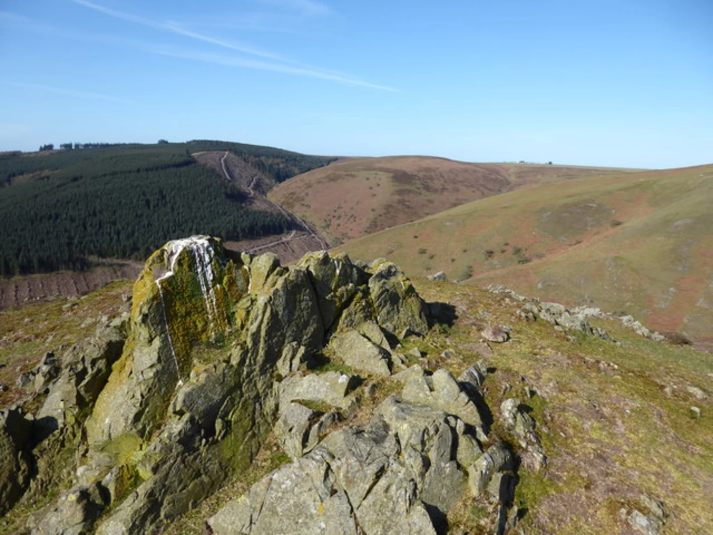An image depicting the trail Minton Hill and Round Hill Loop and its surrounding area.