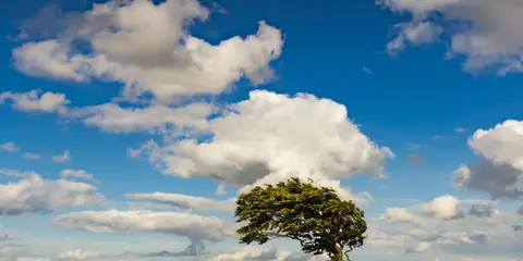An image depicting the trail Cotwolds Cleeve Hill Circular and its surrounding area.