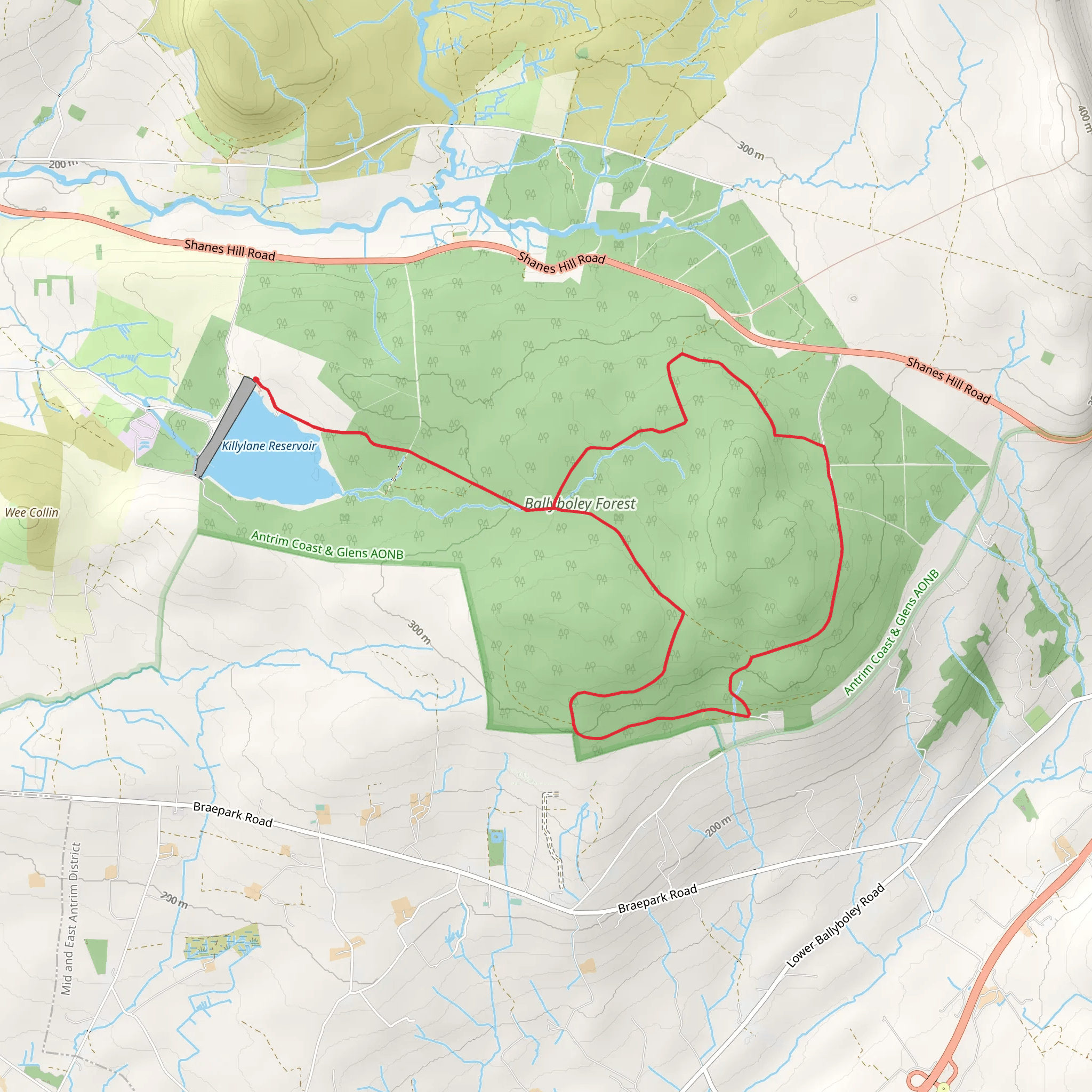 Ballyboley Forest Loop mobile static map