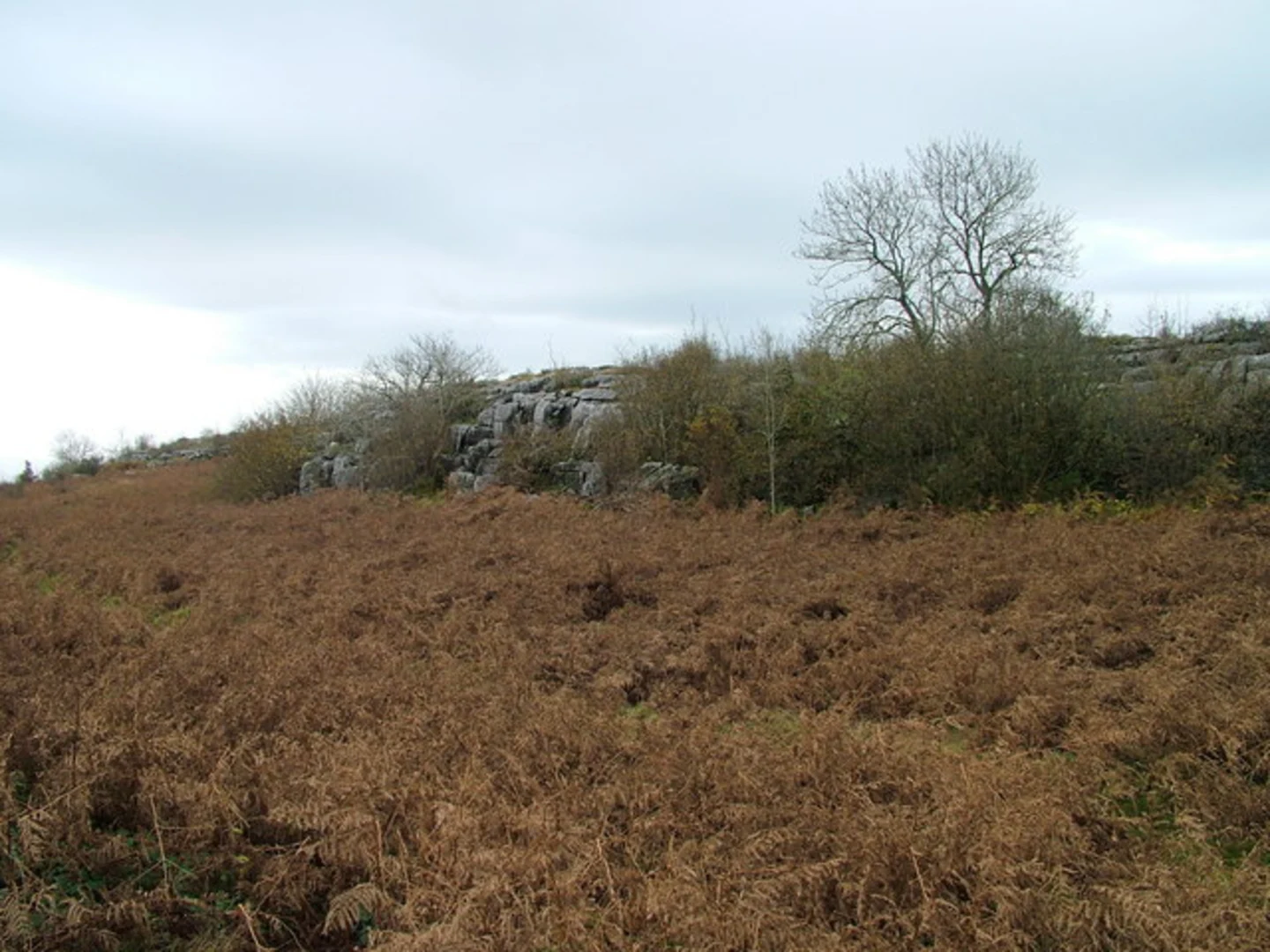An image depicting the trail Hutton Roof Crags Loop - Hutton Roof National Nature Reserve and its surrounding area.