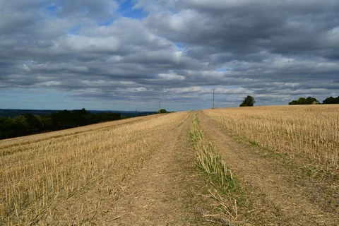 An image depicting the trail West dean and The Hanging Loop and its surrounding area.