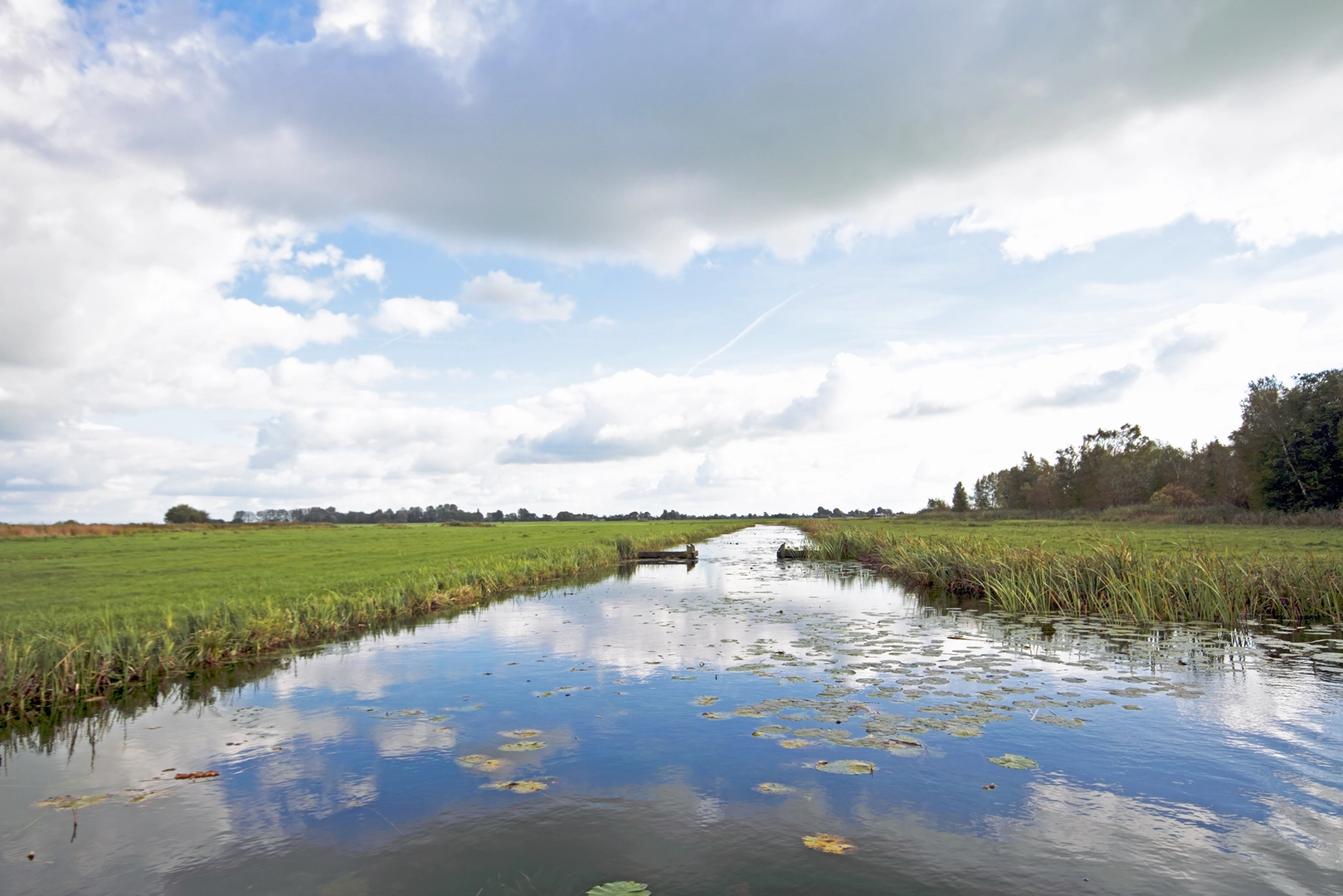 An image depicting the trail De Wassende Maan and Altena Loop and its surrounding area.