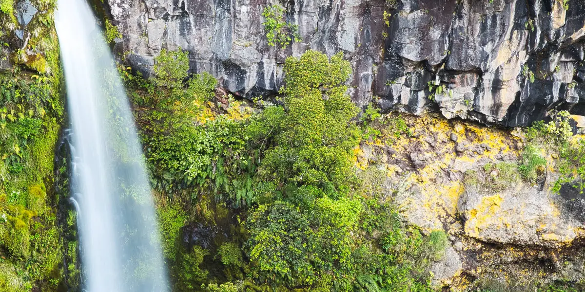 Dawson Falls Lodge to Plateau