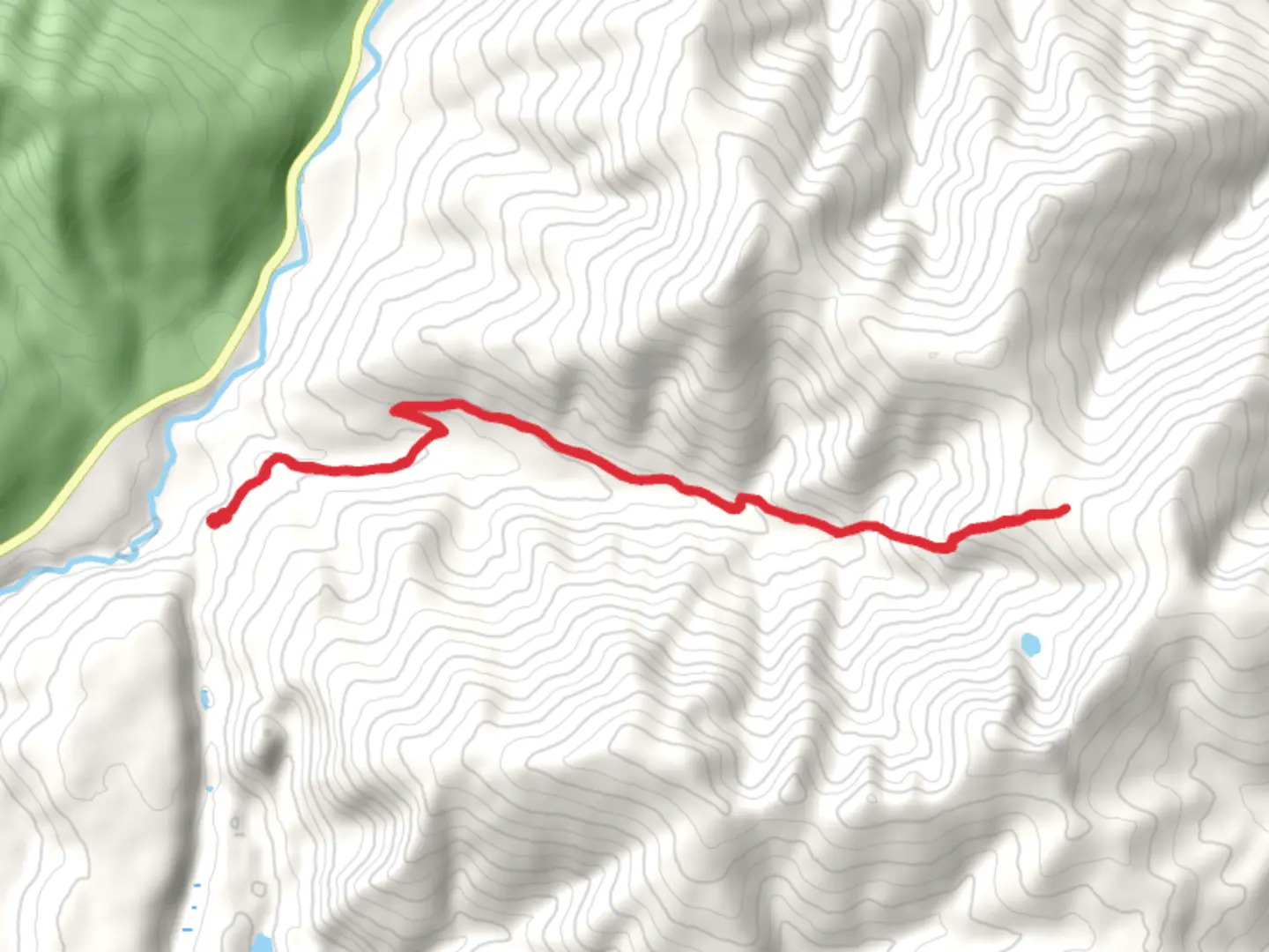 An image depicting the trail Arbo Creek - Wee Lake Trail and its surrounding area.
