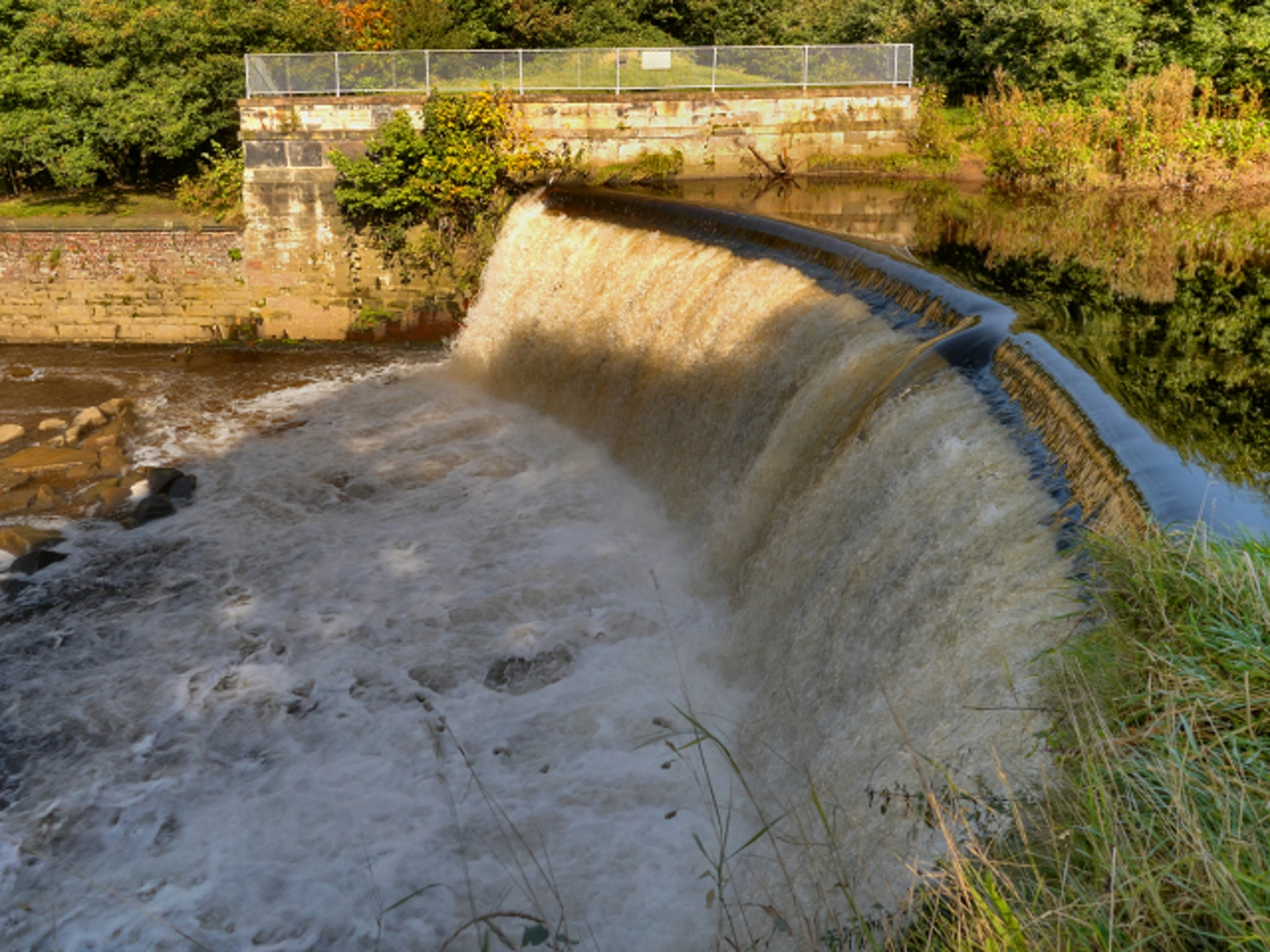 An image depicting the trail River Tame and Weir Loop and its surrounding area.