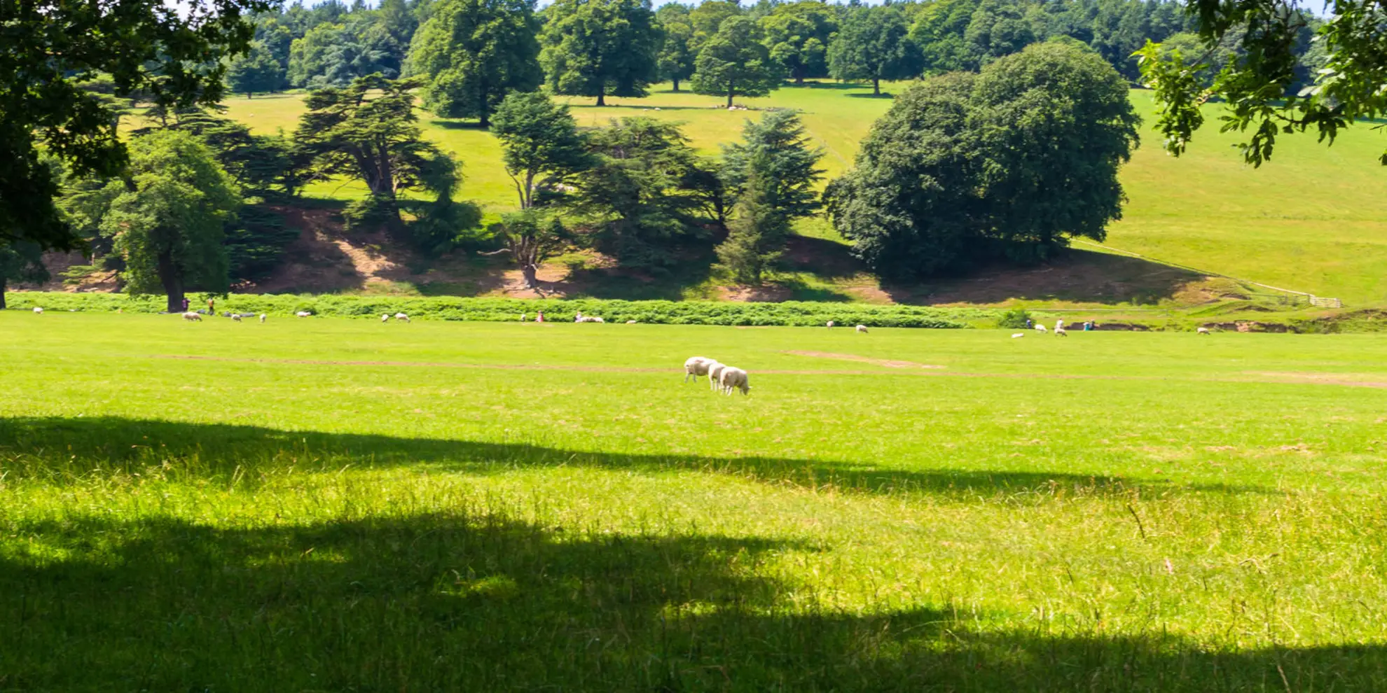 An image depicting the trail Chatsworth Park from Calton Lees and its surrounding area.
