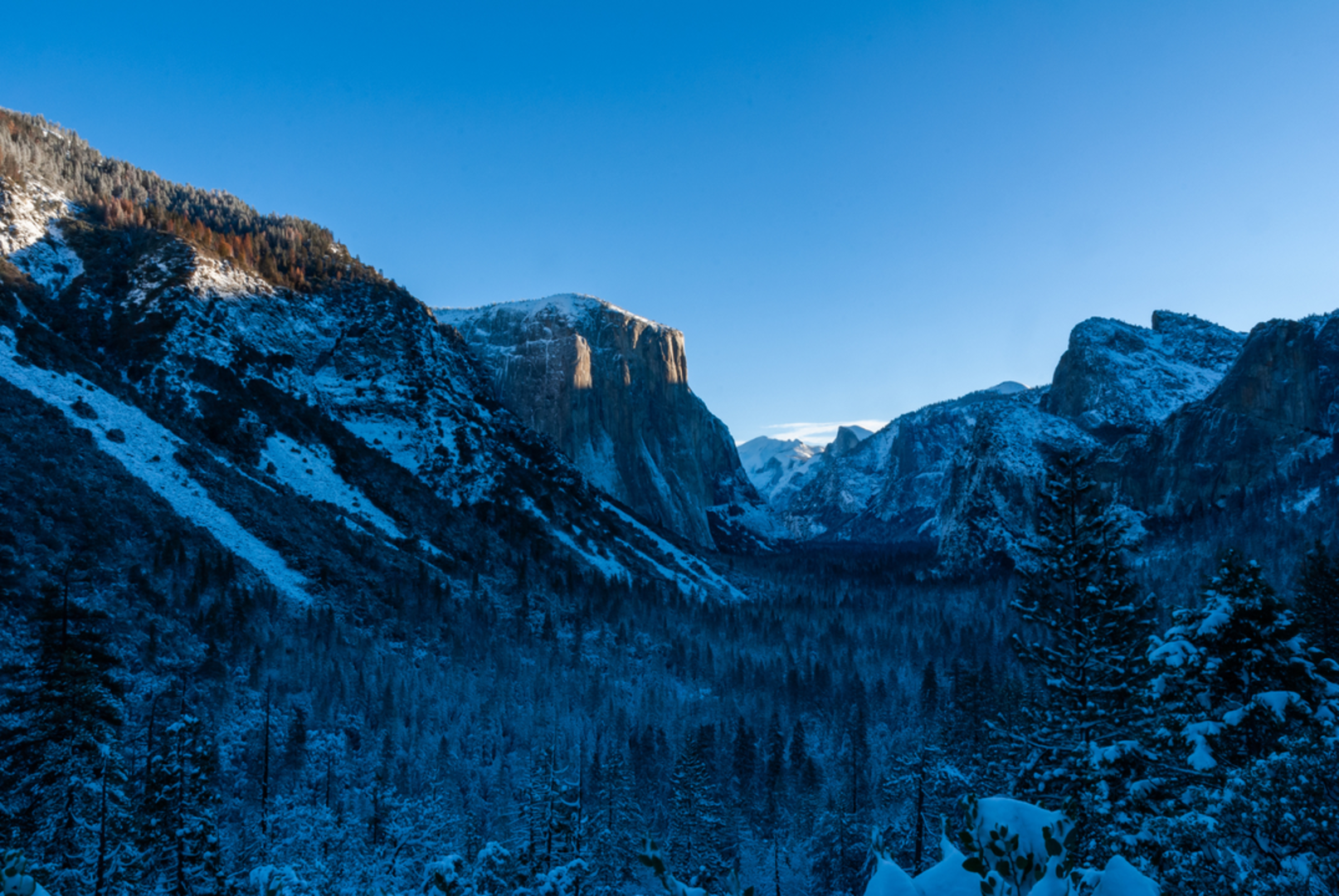 An image depicting the trail Poker Flat - Young's Valley Trail and its surrounding area.