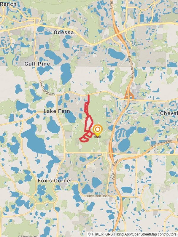 Blue Trail and Upper Tampa Bay Trail Loop