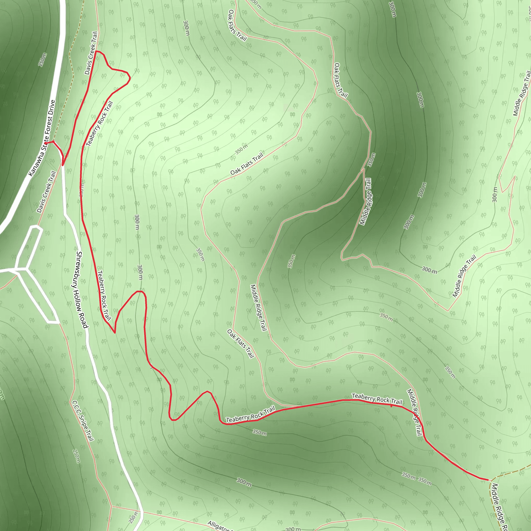 Teaberry Rock Trail mobile static map