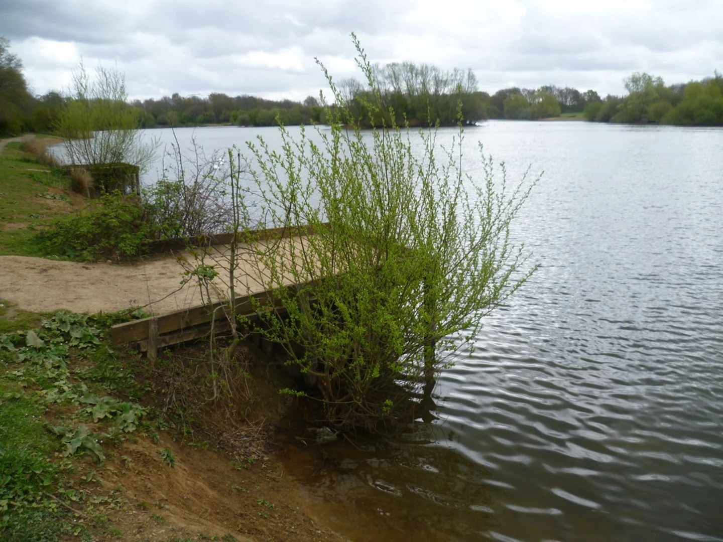 An image depicting the trail Haysden Water via The Tudor Trail and its surrounding area.