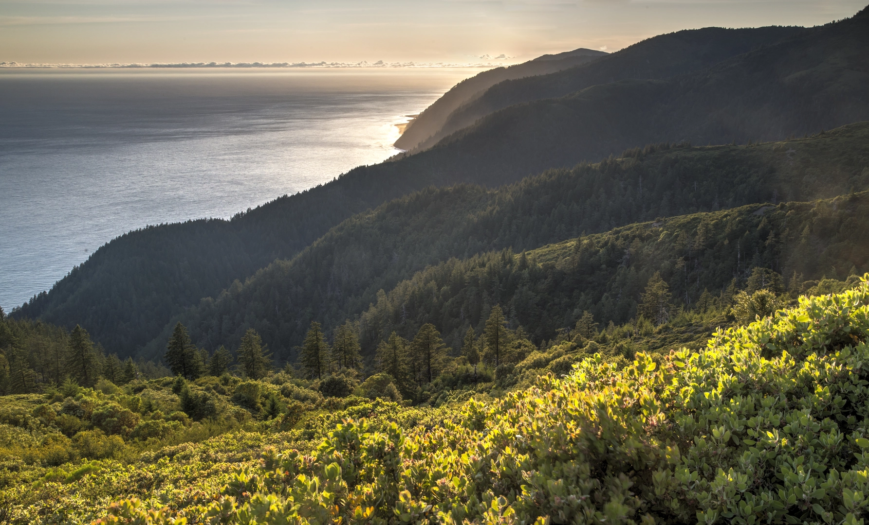 An image depicting the trail Lost Coast Trail and Timber Haul Road Loop and its surrounding area.