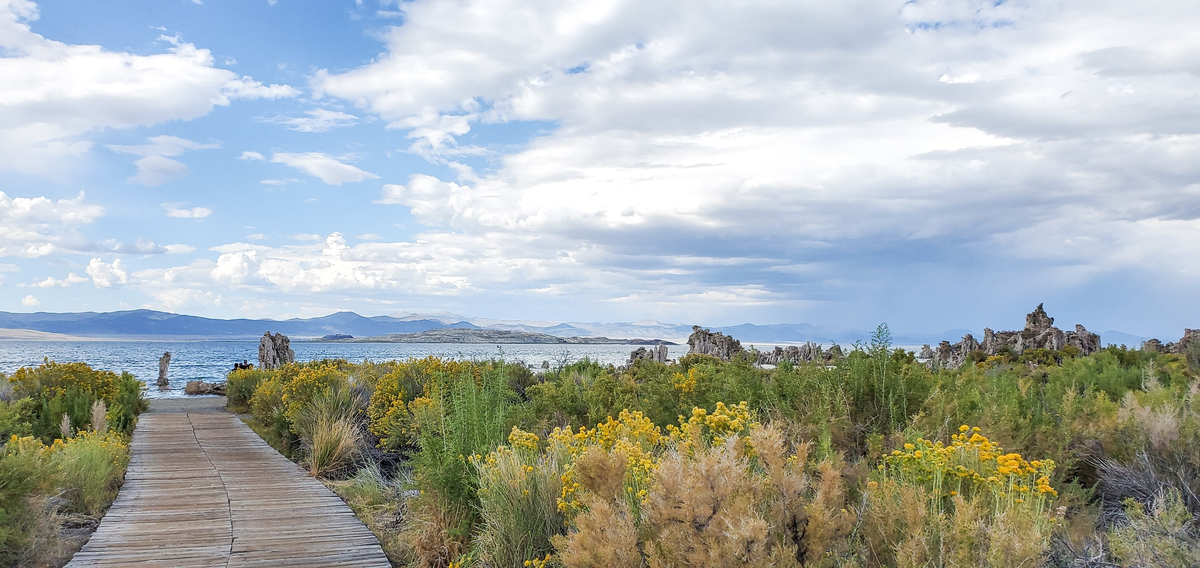 Lee Vining Creek Walk along