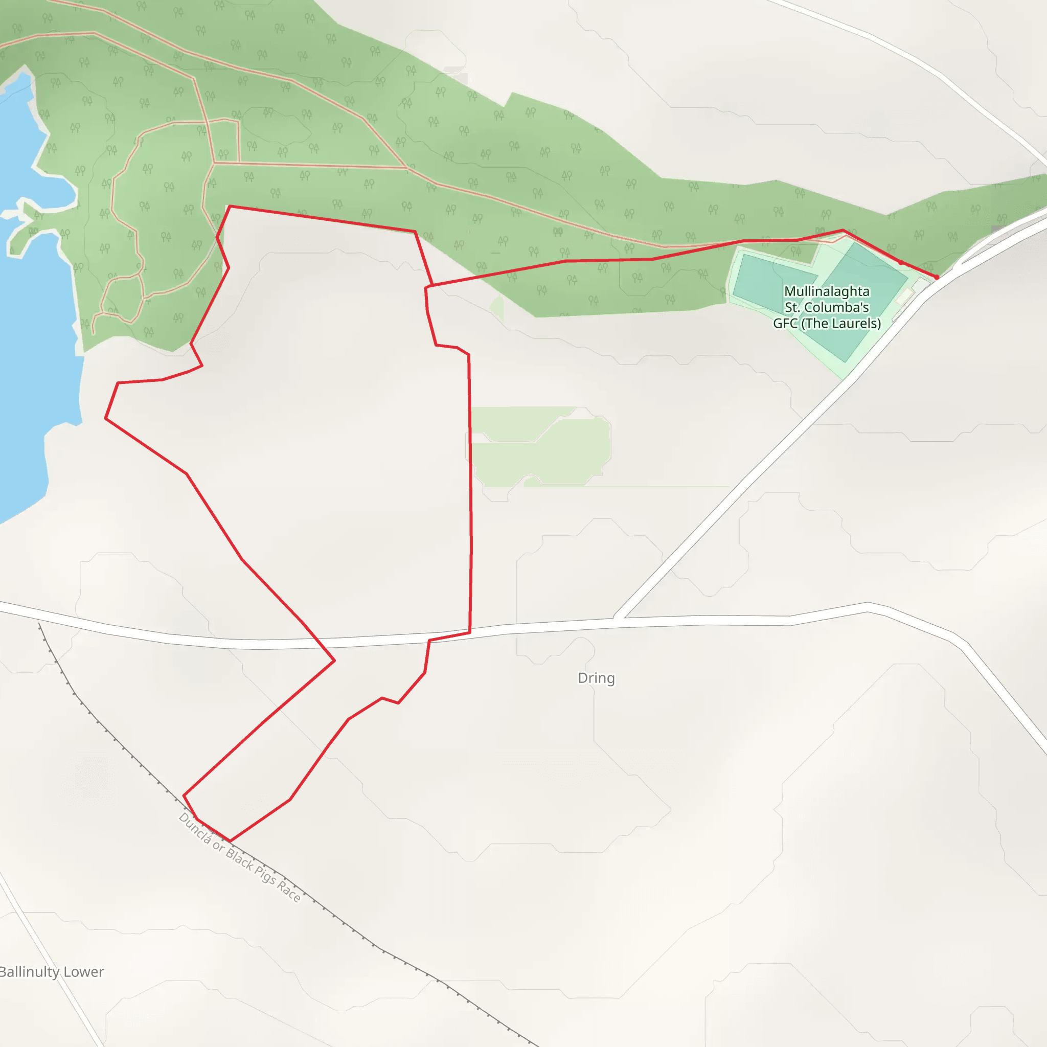Derrycassan - Nature Trail Walk mobile static map
