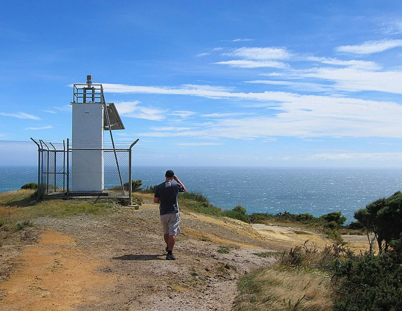An image depicting the trail Pillar Point via Hilltop Walk and Fossil Point Track and its surrounding area.