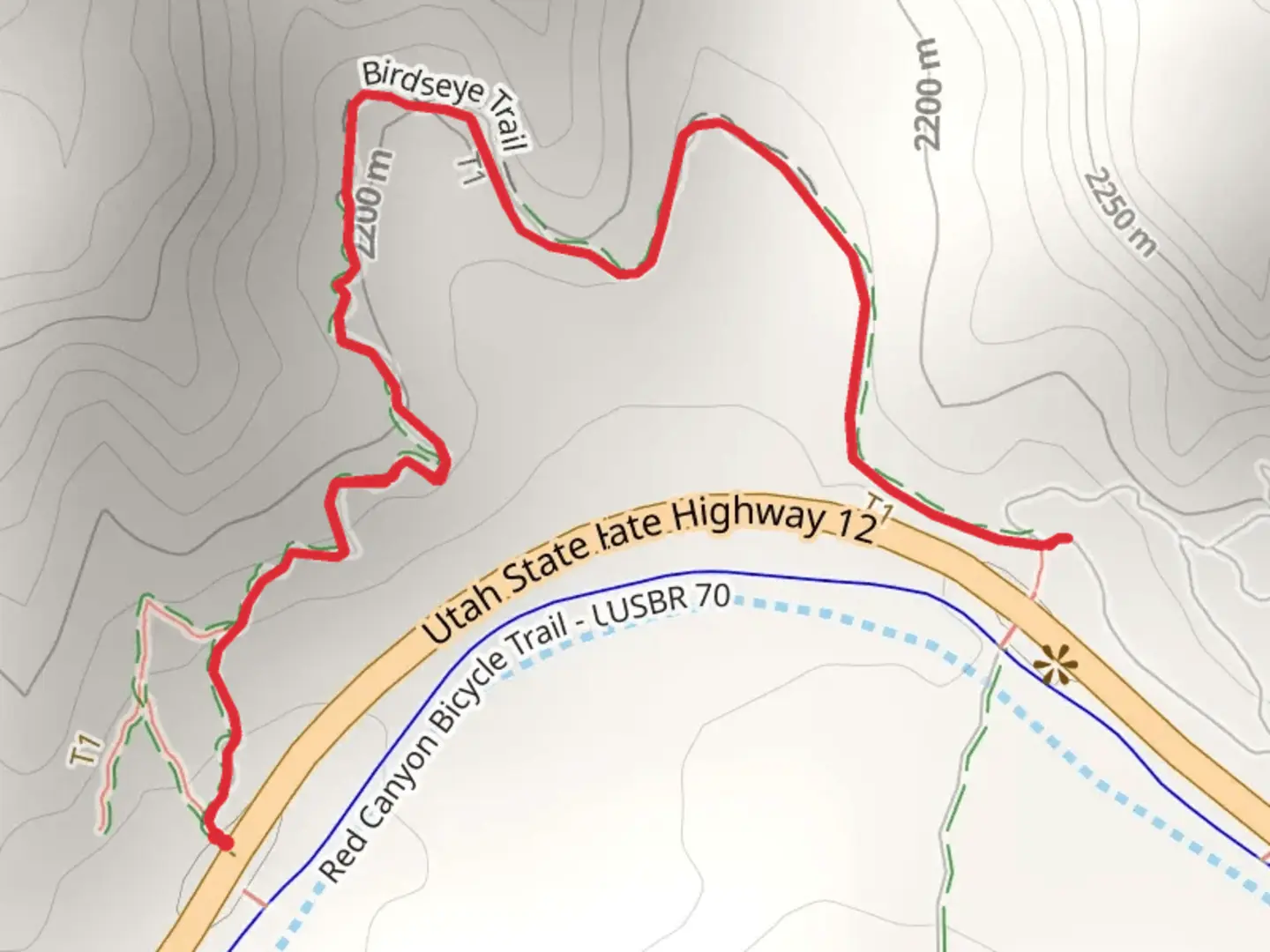 An image depicting the trail Birdseye Trail and its surrounding area.