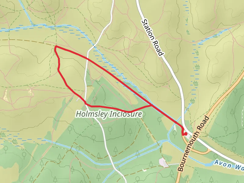 Holmsley Inclosure Loop