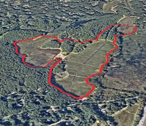 Cranberry Factory Pond Loop