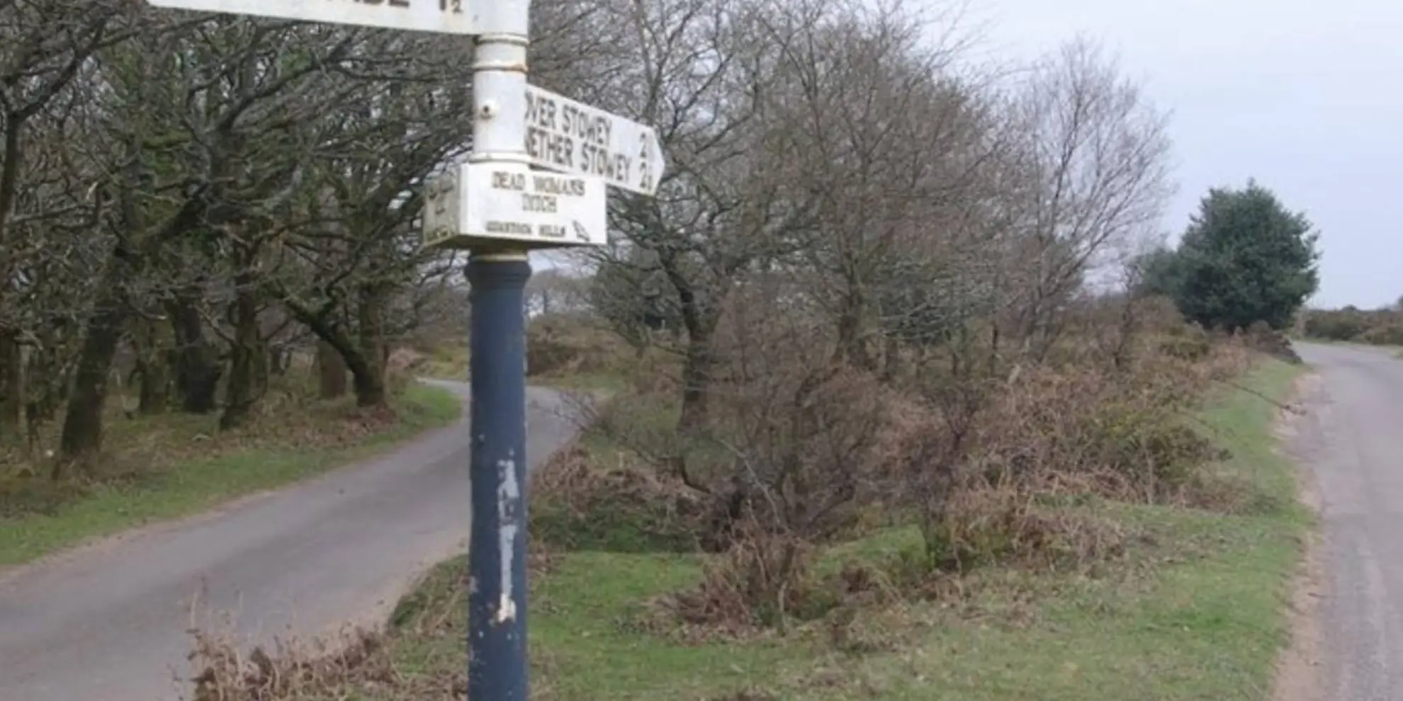 An image depicting the trail Quantock Hills Trail from Dead Woman's Ditch and its surrounding area.
