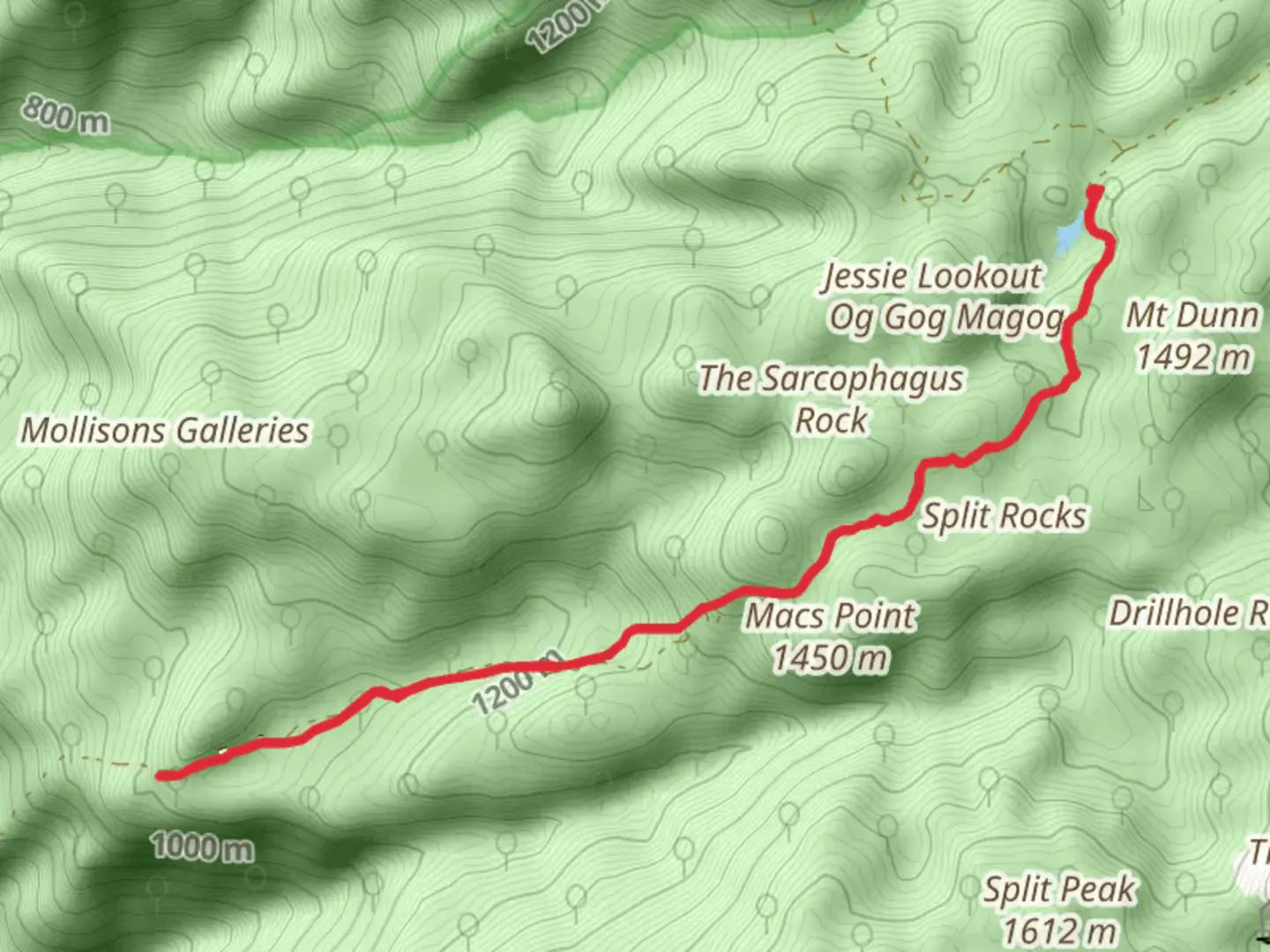 An image depicting the trail Rocky Creek Track and its surrounding area.