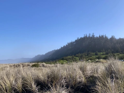 Miner's Ridge, Clintonia and James Irvine Loop Trail