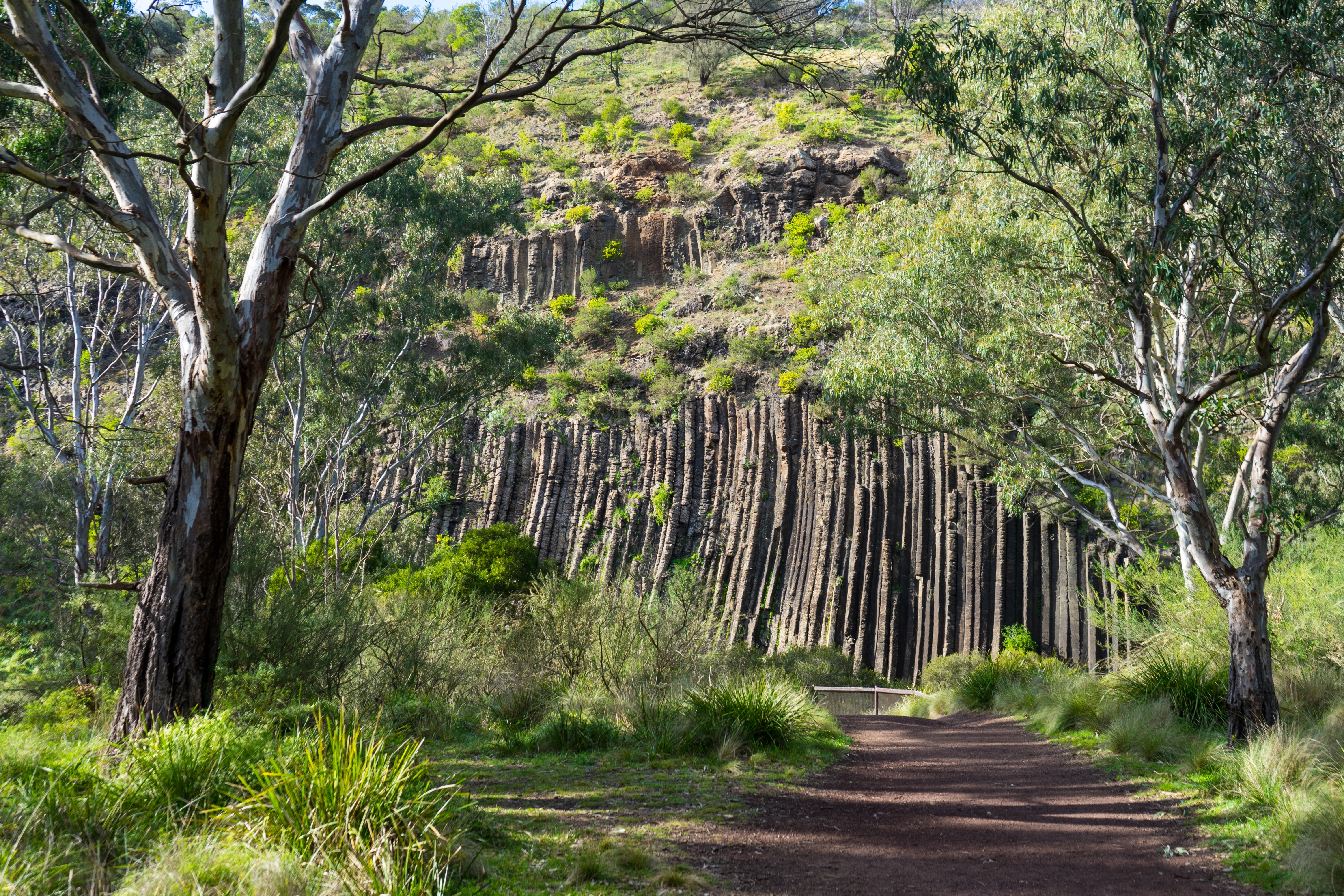 An image depicting the trail Organ Pipes National Park and its surrounding area.
