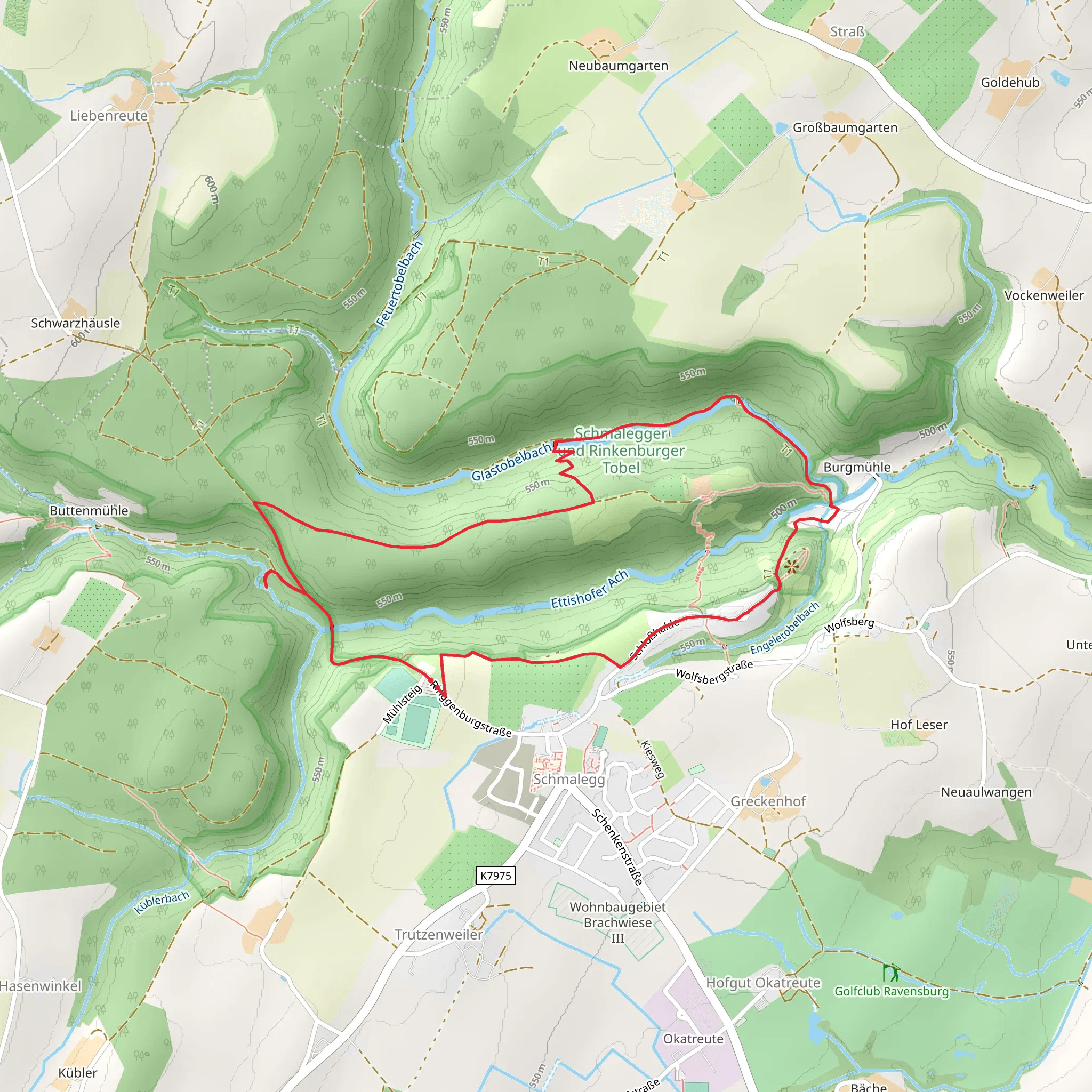 Rinkenburg and Jägerhaus Loop - Schmalegg mobile static map