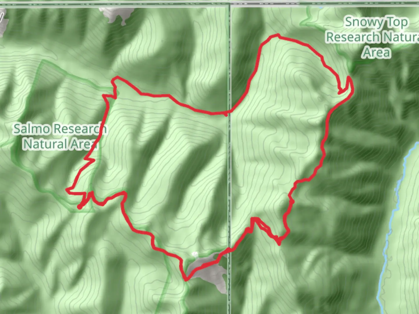 An image depicting the trail Salmo Basin and Shedroof Divide Loop Trail and its surrounding area.