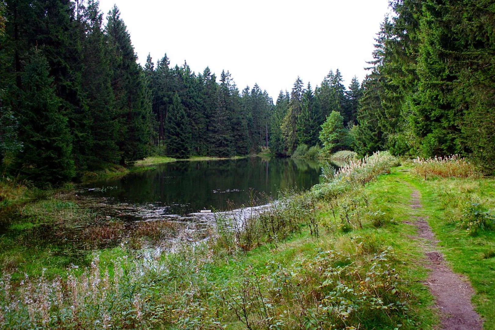 An image depicting the trail Oberer Hahnebalzer Teich, Kaysereiche and Gr Leimental Loop and its surrounding area.