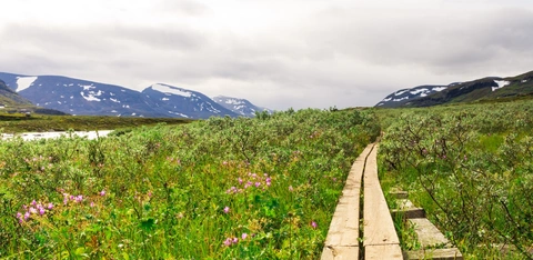 An image depicting the trail Kungsleden South and its surrounding area.