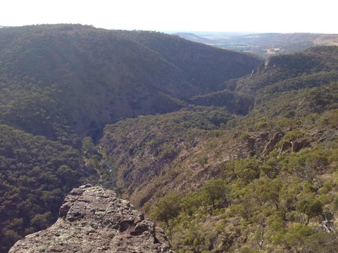An image depicting the trail Western Bluff and Falcons Lookout Trail and its surrounding area.