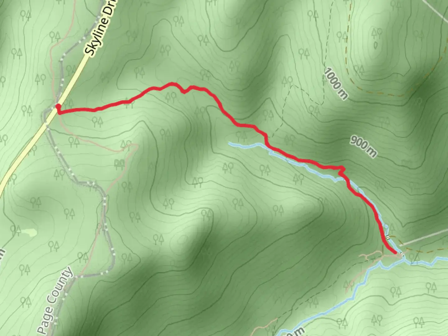 An image depicting the trail Mill Prong Trail from Milam Gap and its surrounding area.