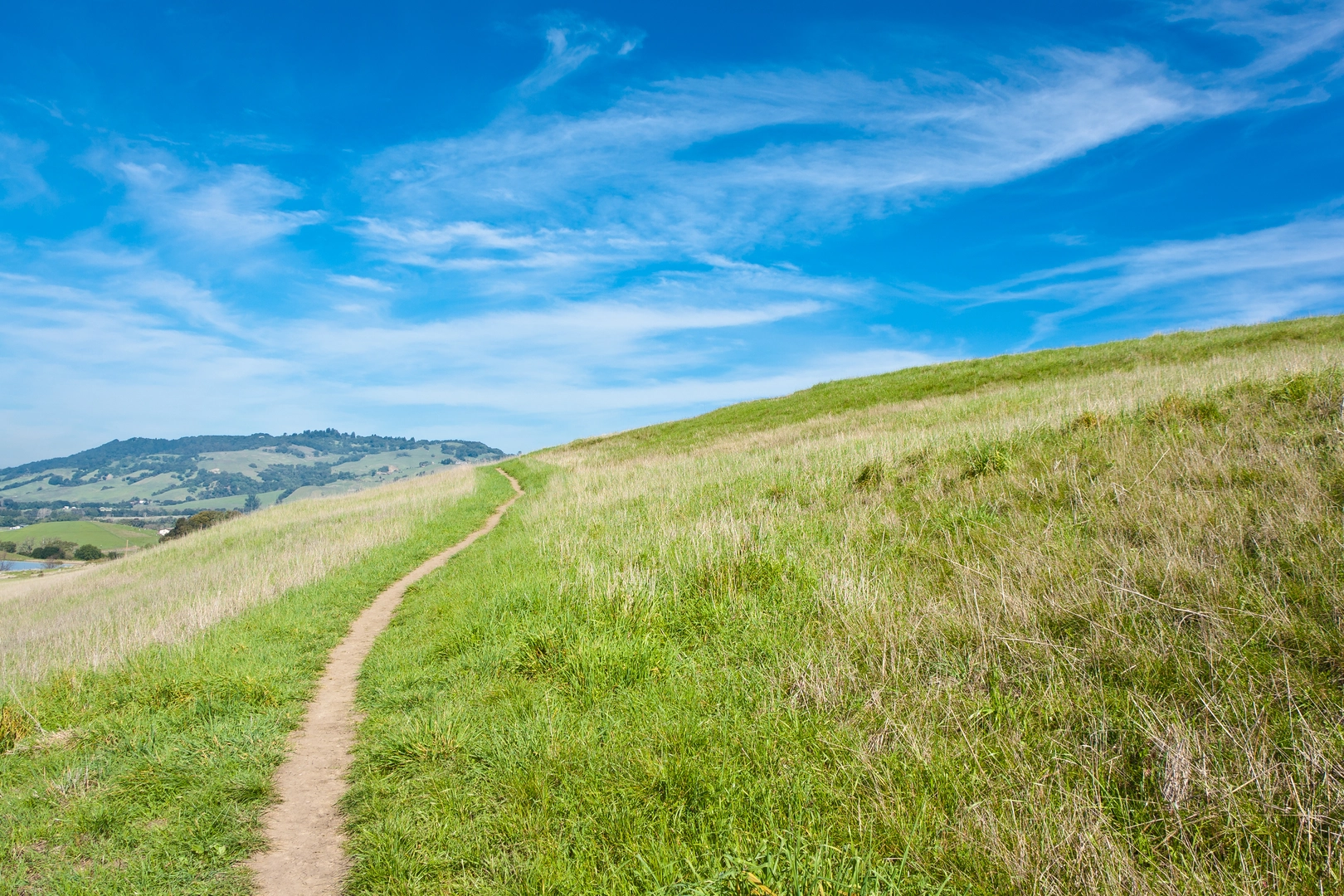 An image depicting the trail Crane Creek Regional Park Loop and its surrounding area.