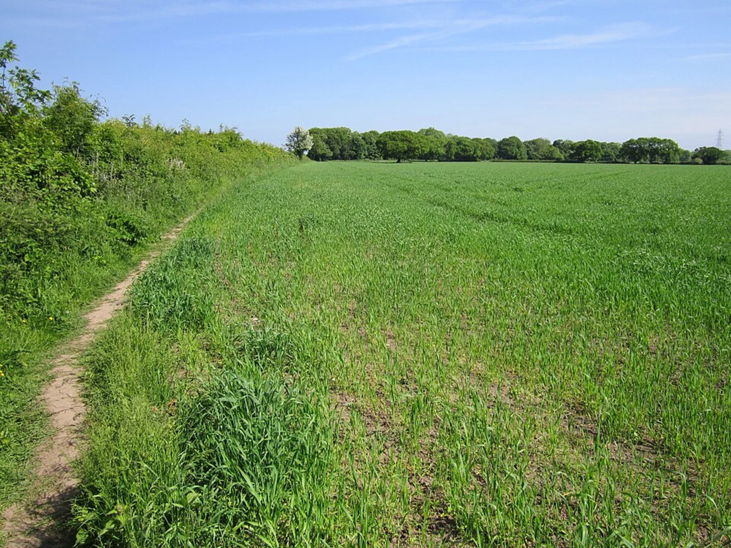 An image depicting the trail Parkgate Circular Walk and its surrounding area.